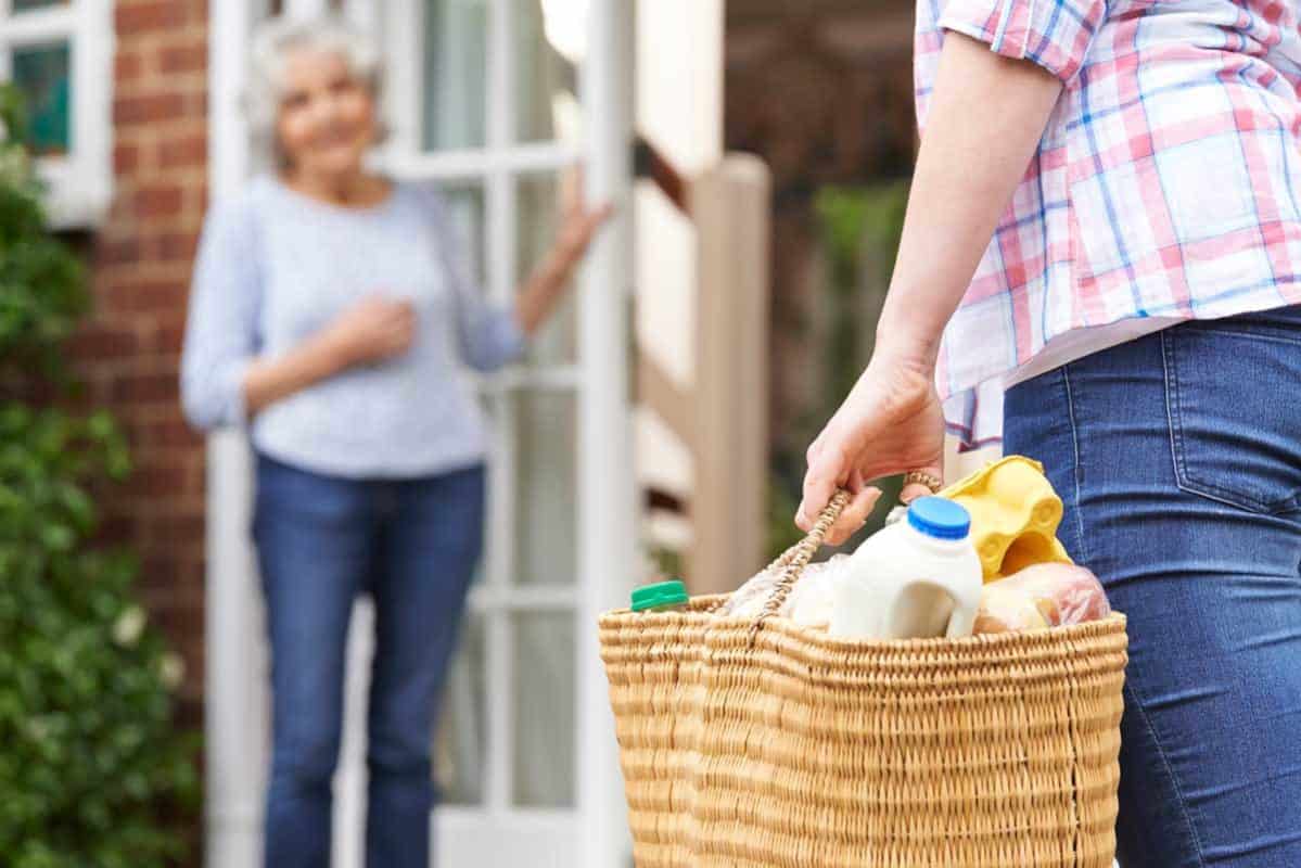 Freundliche Pflegerin bringt Einkaufshelfer zur älteren Dame zu Hause, Frischhalteprodukte im Korb, Seniorenbetreuung, Hauspflege, Unterstützung bei Haushaltsaufgaben, individuelle Pflege und Betreuung.